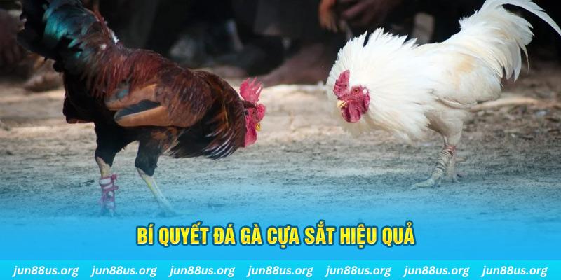 j88vip1 nổ hũ may mắn
