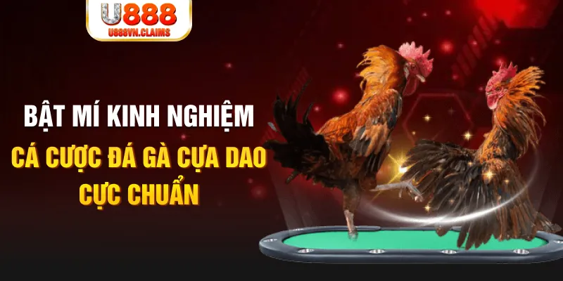 j88vip1 casino hồ tràm có cho người việt vào không