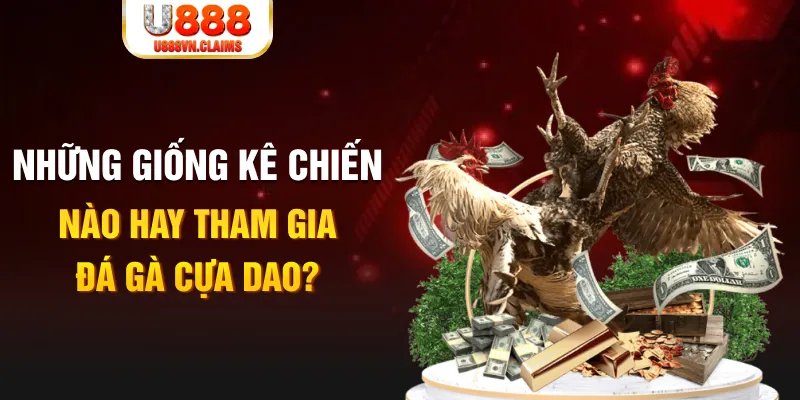 j88vip1 BG Trực Tuyến