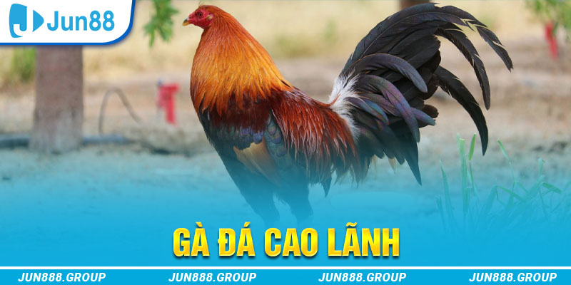 j88vip1 tai game vua bai ve may tinh