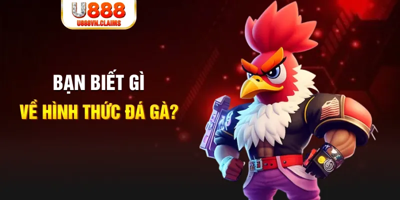 j88vip1 đăng nhập liêng tặng tiền