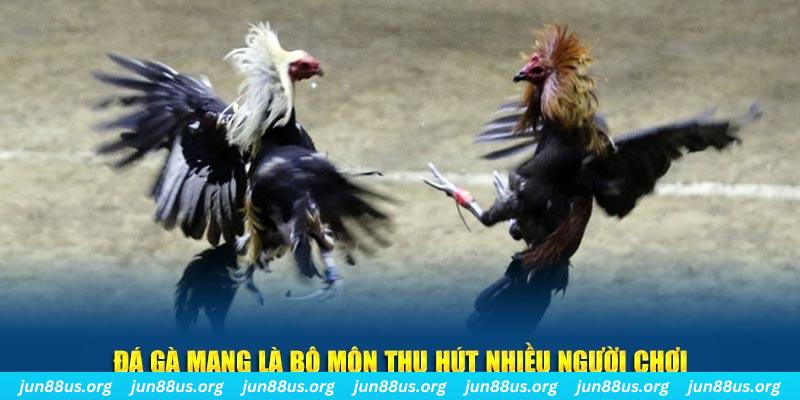 j88vip1 đăng nhập sòng bạc số 1