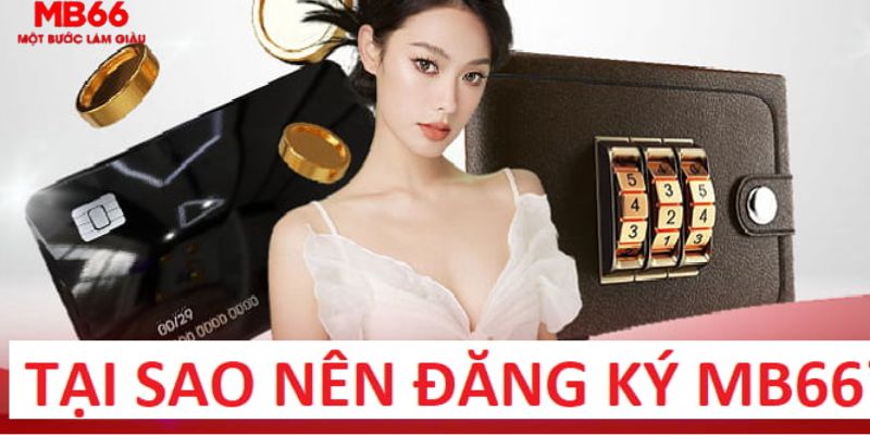 j88vip1 trực tiếp gà chọi c1