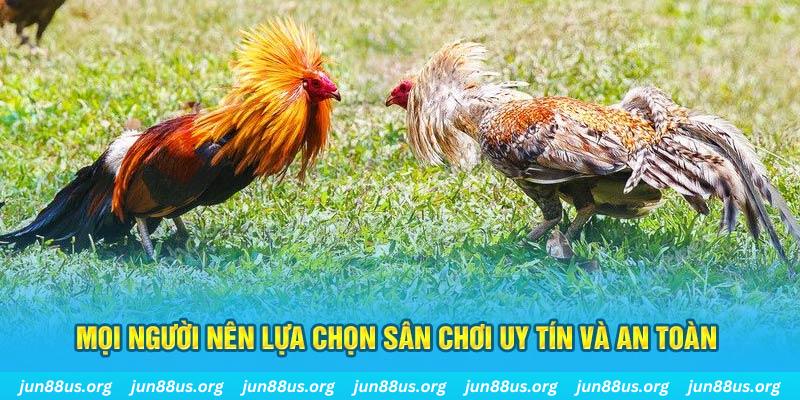 j88vip1 đăng nhập poker 2025