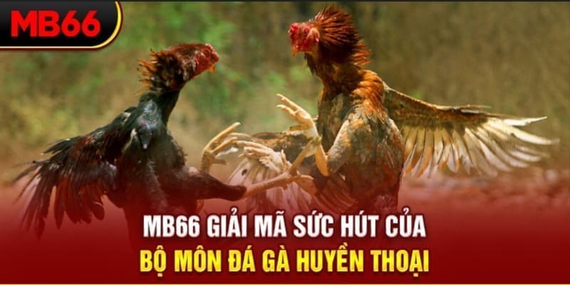 j88vip1 xổ số đài bắc