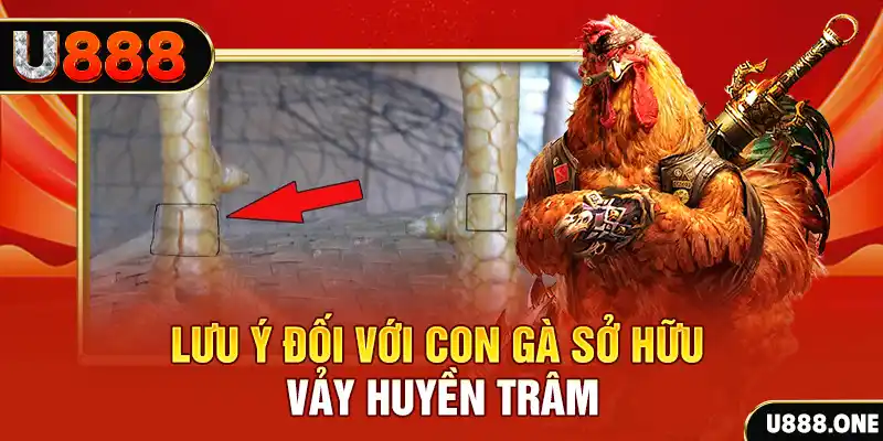 j88vip1 tải game đánh bài tiến lên miền nam về máy tính