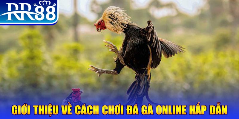 j88vip1 EvoPlay Điện Tử