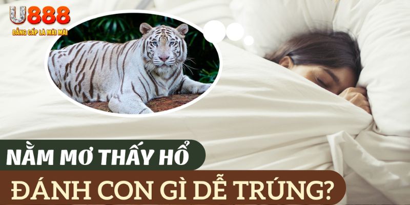 j88vip1 nohu .mx nổ hủ là gì