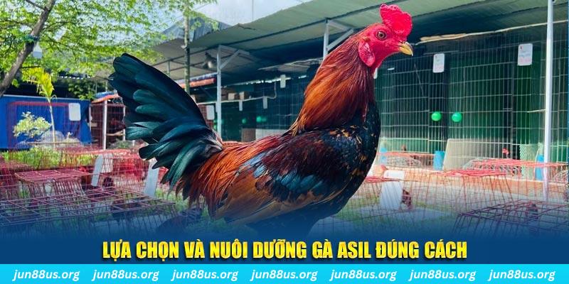 j88vip1 nổ hũ thần tài là gì