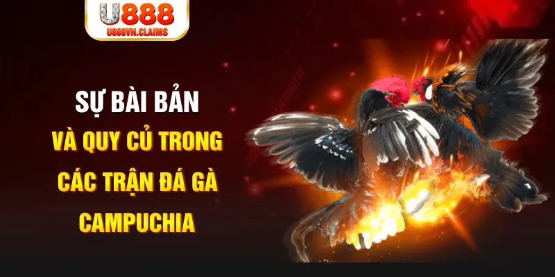 j88vip1 game xếp bài trên máy tính