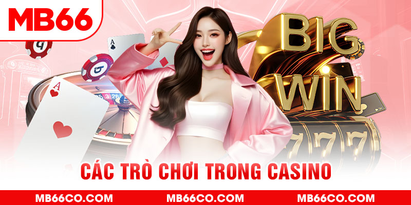 j88vip1 chổi lông gà