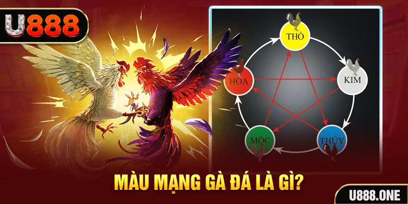 j88vip1 V8 Game Bài 3d