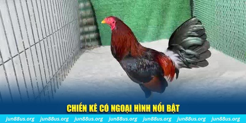 j88vip1 qq88 bắn cá