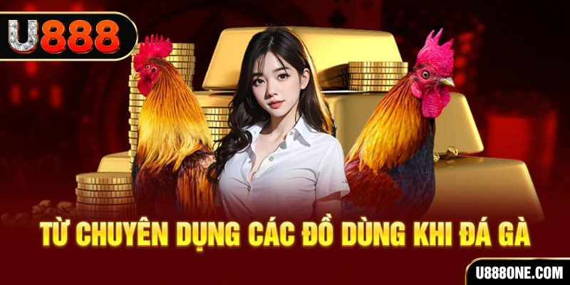 j88vip1 đăng nhập poker trực tiếp