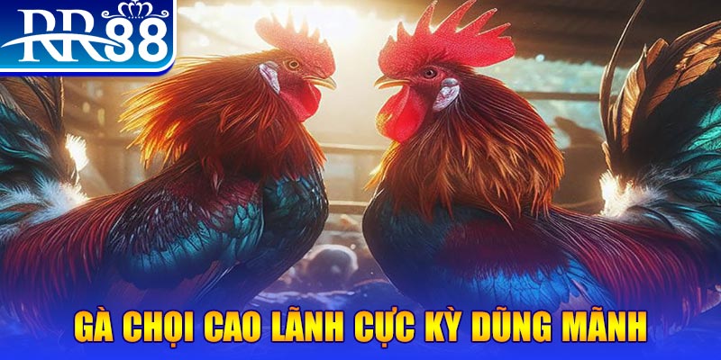 j88vip1 đăng nhập poker live